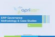 Erp governance methodology and case studies  v rjt