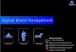 BeeLine Digital Management