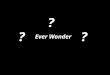 Ever Wonder