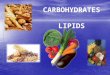 CARBOHYDRATE & LIPIDS
