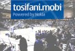 Tosi Fani.Mobi Project Summary 1
