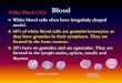 White blood cells in Blood