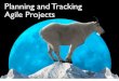 Planning and Tracking Agile Projects