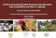 Outline of proposed pilot livestock identification and traceability activities in Uganda