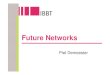 I Minds2009 Future Networks  Prof  Piet Demeester (Ibbt Ibcn U Gent)
