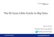 The BI Guy's Little Guide to Big Data