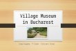 Dimitrie Gusti - Village Museum