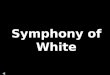 Symphonyof whites