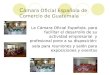C ámara Oficial Española de Comercio de Guatemala La Cámara Oficial Española, para facilitar el desarrollo de su actividad empresarial y profesional pone