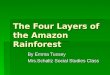 The four layers of the amazon rainforest emmas project2