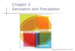 Ch 3 sensation perception