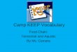 Camp keep vocabulary food chain