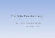 The fetal development