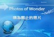 Photos of wonder 照片欣賞