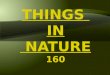 things in nature