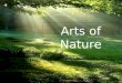 Arts Of  Nature