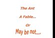The ant : The Corporate Message