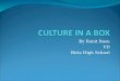 Culture in a box by Ronit