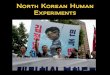 North Korean Human Experiments