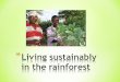 7   living sustainably in the rainforest