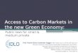Dra. Marie Cordonier - Carbon Markets
