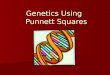 Genetics Using Punnett Squares Early Genetics