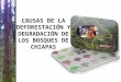 CAUSAS DE LA DEFORESTACIÓN Y DEGRADACIÓN DE LOS BOSQUES DE CHIAPAS