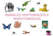Animales Vertebrados E Invertebrados