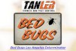 Bed Bugs Los Angeles Exterminator