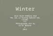 Winter slideshow by zeev barkan