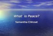 Samantha Peace Project