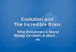 Evolution and the Incredible Brain