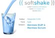 soft-shake.ch - De Hermes RUP   Hermes Scrum