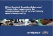 Synergy distributed Leadership Brochure