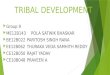 Tribal  development