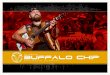 2012 Sturgis Buffalo Chip Event Summary