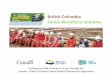 2013 The Truck Loggers Association British Columbia Workforce Initiative