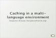 Caching in a multilanguage environment