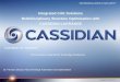 Integrated CAE Solutions Multidisciplinary Structure Optimisation with CASSIDIAN LAGRANGE