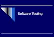 Software Testing (ppt file)