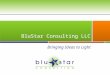 BluStar Consulting LLC