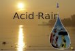 Acid Rain Up