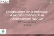 Obligaciones de la Industria: Aspectos Críticos de la Aplicación del REACH Mª Eugenia Anta FEIQUE