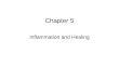 Chapter 005 and 006 Pathology