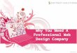 Why You Need A Professional Web Design Company