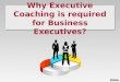 View the Importance of Executive Coaching for Business Executives | Abundance Coaching