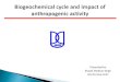 Biogeochemical cycle and impact of anthropogenic activity by shashi shekhar singh SES,JNU,New Delhi