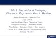 2013 Prepaid and Emerging Electronics Payments In Review jan 15 2015-v1
