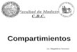 Compartimientos C.B.C. Facultad de Medicina Universidad de Buenos Aires Lic. Magdalena Veronesi
