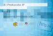 El Protocolo IP Tema 3 Aplicaciones en Redes Locales 05/06